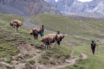 W4D: a Skardu una nuova formazione dedicata alle scienze veterinarie e all’approccio One Health